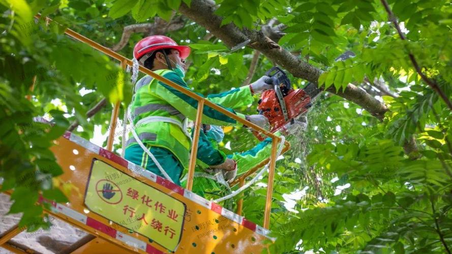 草坪基地园林绿化工程有哪些