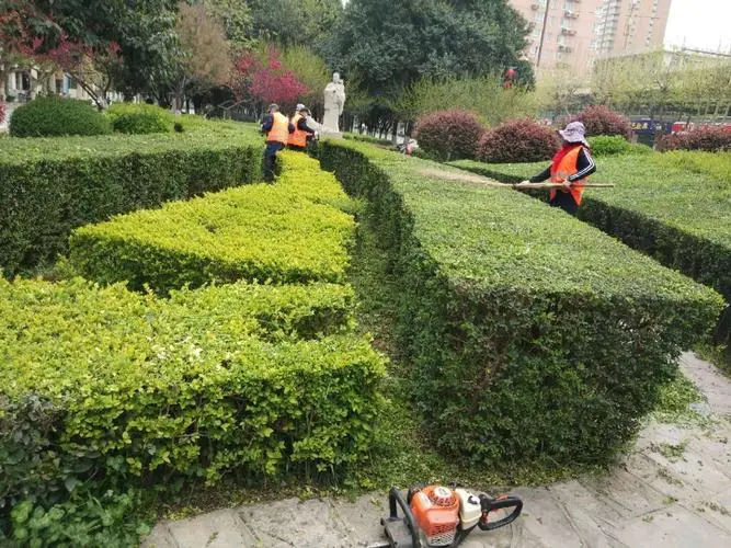 园林绿化工程中的湿地和水生植物配置技巧